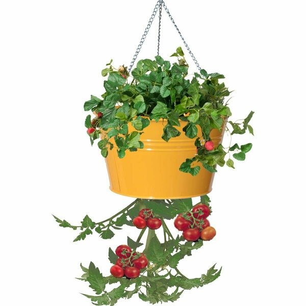 Superherostuff Enameled Galvanized Steel Strawberry Herb & Floral Hanging Planter Saffron PA2431749